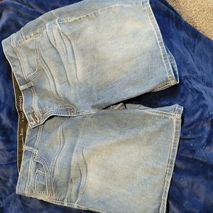 Lane Bryant shorts